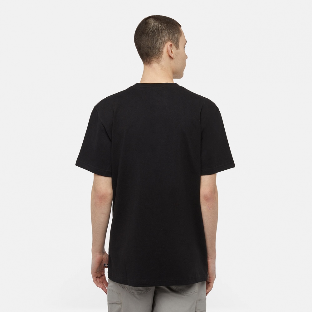 DickiesT-ShirtHeavyweightSsTeeRelaxedDK0A4YT7