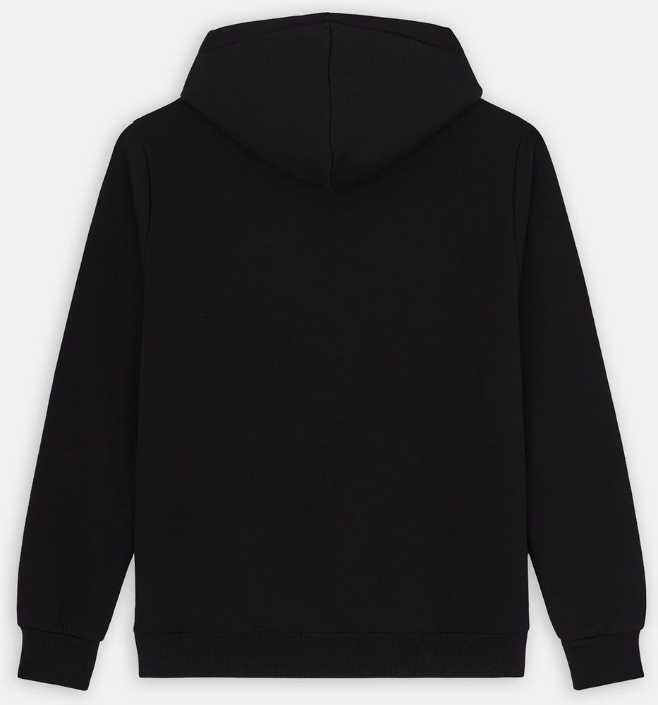 DickiesIconLogoHoodieDK0A4XCB