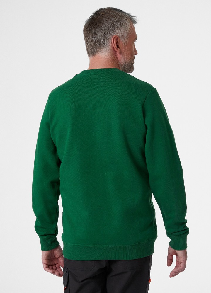 HellyHansenLogoSweatshirtGreen-XS