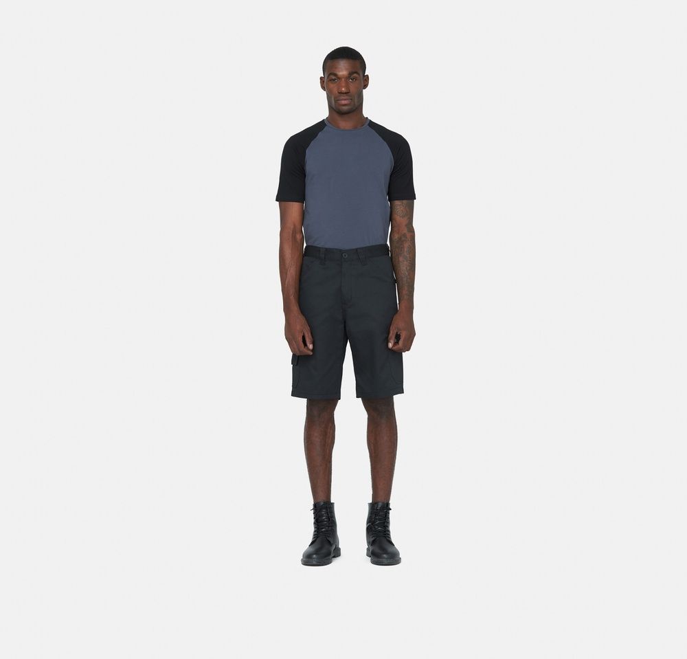DickiesArbeitsshortEverydayShortDK0A867PBlack-28